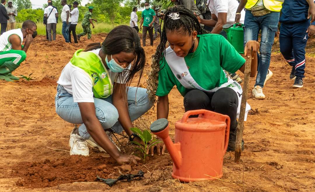 CHAQUE JEUNE FILLE TOGOLAISE UN ARBRE, FORET NANA BENZ